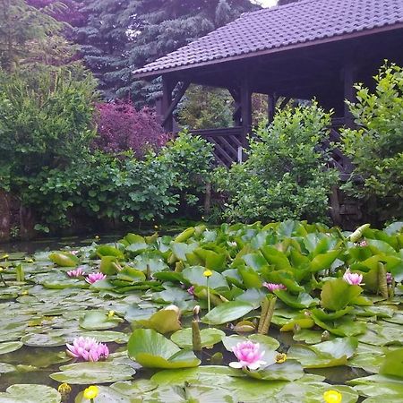 Dankowska Dolinaヴィラ エクステリア 写真